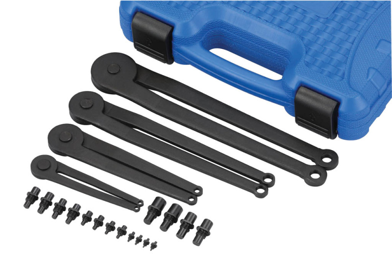 Набор ключей штифтовых регулируемых LICOTA ATA-2019