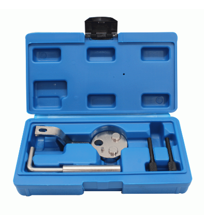 Набор для установки фаз ГРМ для Ford 2.2 TDCI ST191